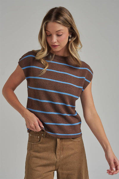 Chocolate Striped Fall Transitional Knit Top