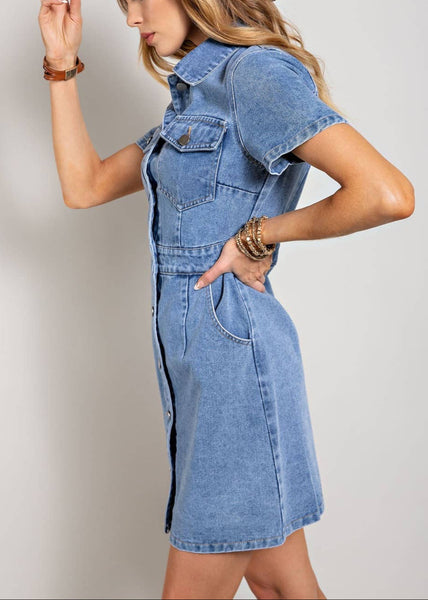 Denim Button Down Dress