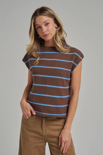 Chocolate Striped Fall Transitional Knit Top