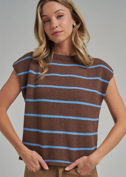 Chocolate Striped Fall Transitional Knit Top