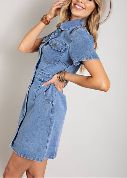 Denim Button Down Dress