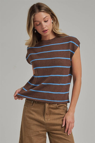 Chocolate Striped Fall Transitional Knit Top