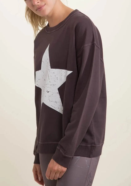 Vintage Star Cotton Sweatshirt in Bark ~FINAL SALE