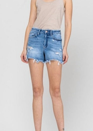 High Rise Stretch Distressed Jean Shorts