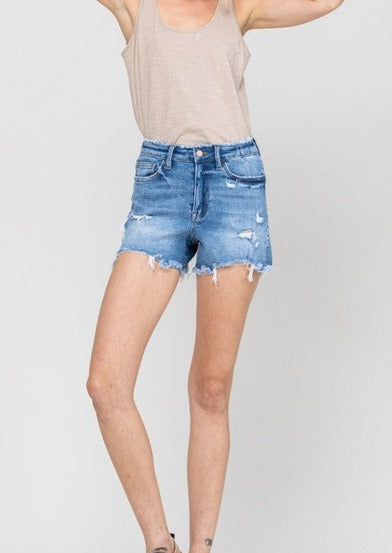 High Rise Stretch Distressed Jean Shorts