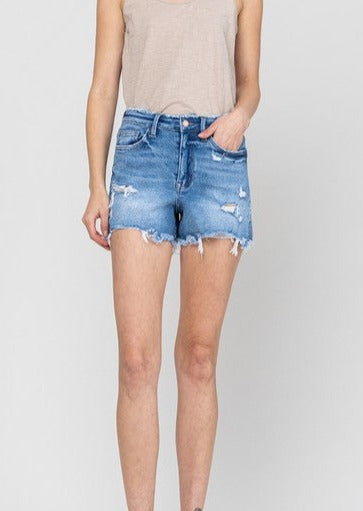 High Rise Stretch Distressed Jean Shorts