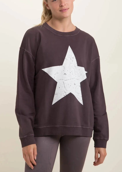 Vintage Star Cotton Sweatshirt in Bark ~FINAL SALE